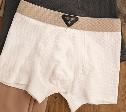 4PCS PureFlex™ Men Underwear